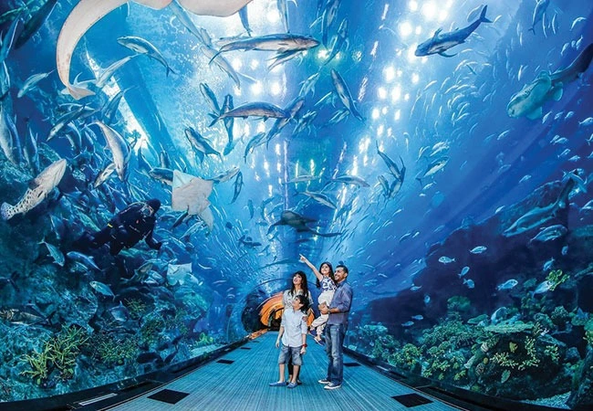 Acuario de Dubai Mall & Fuentes danzantes