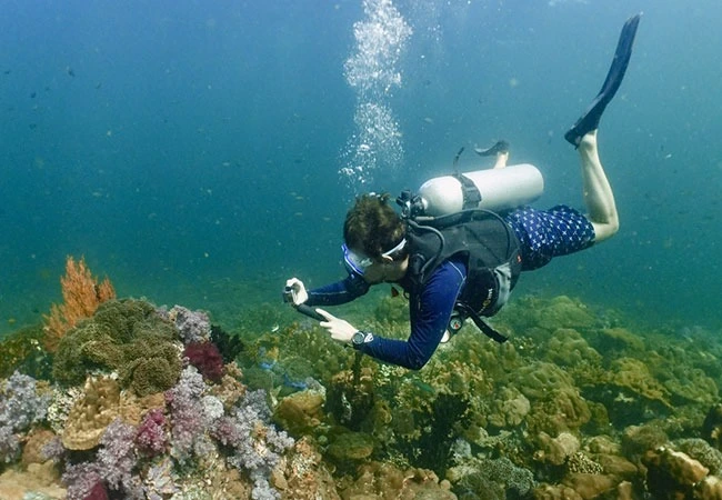 Buceo (profesionales)